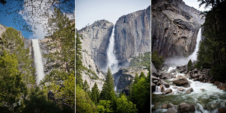 yosemite wedding photography