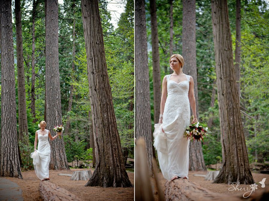 yosemite wedding photography