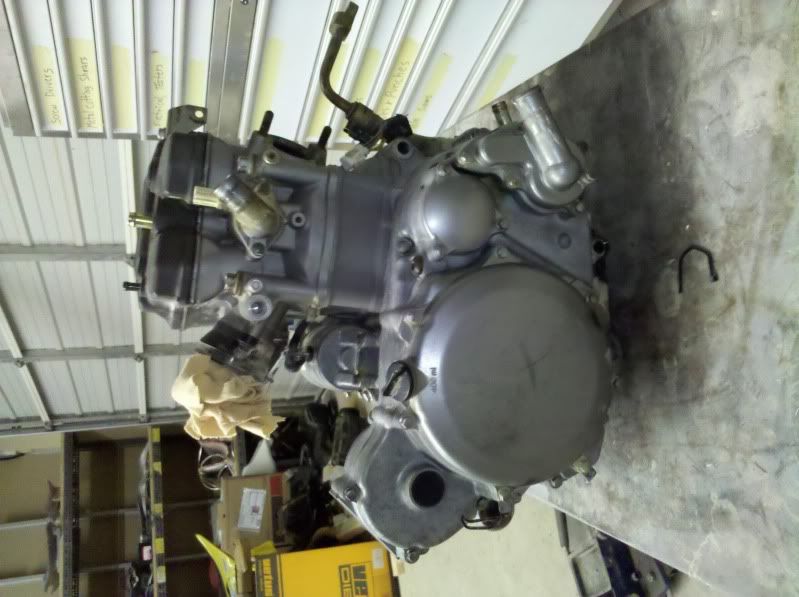 2006 ltr engine good condition - Suzuki LT-R450 Forum :: LTR450HQ.com