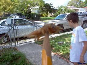 Image hosted by Photobucket.com