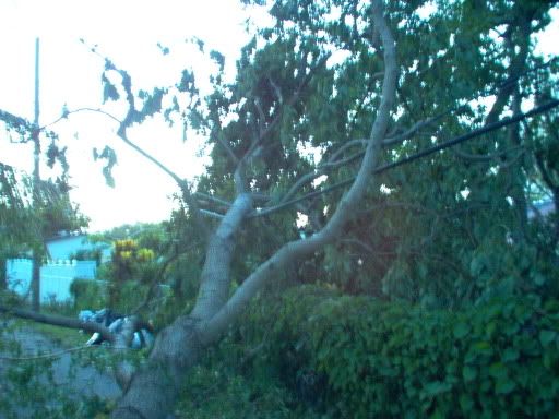 Image hosted by Photobucket.com