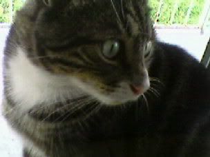 Photobucket - Video and Image Hosting