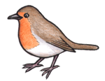 clip art of a robin
