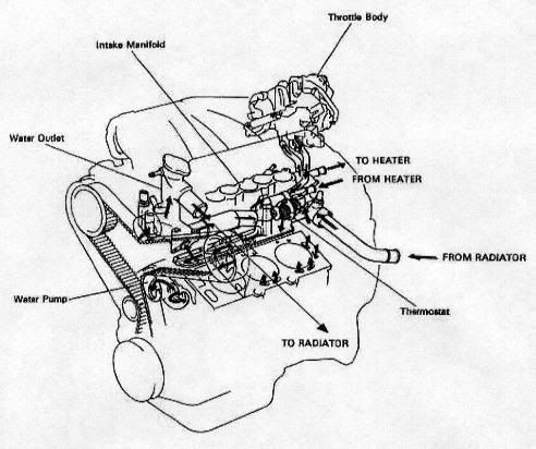 how to change a 1996 toyota camry thermostat #2