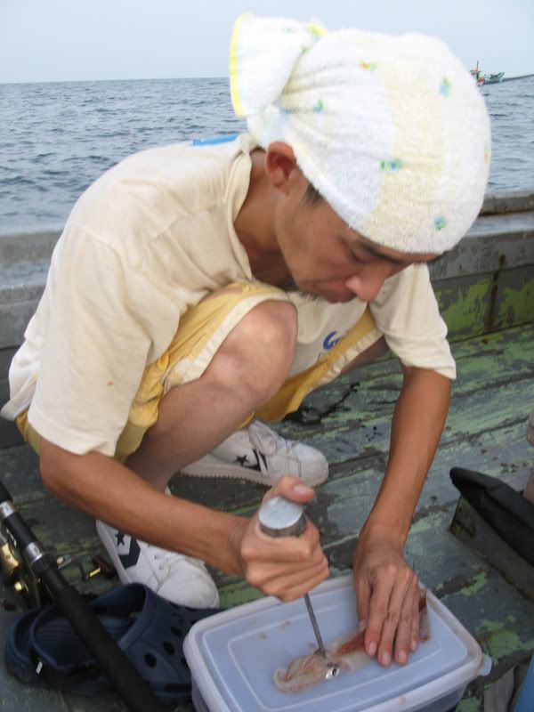 [Image: squid-kemaman-05-08053.jpg]