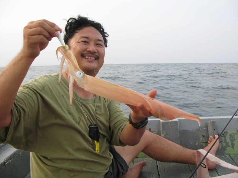 [Image: squid-kemaman-05-08065.jpg]