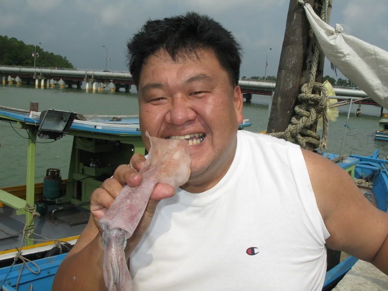 [Image: squid-kemaman-05-08089.jpg]