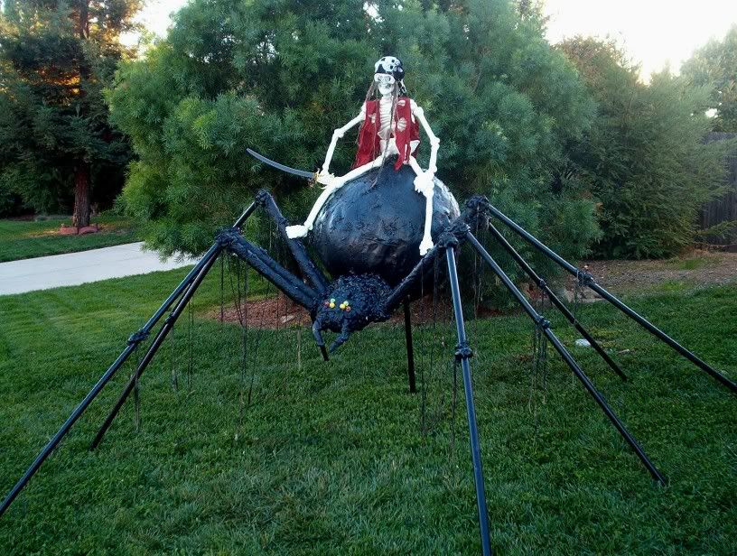 spiderrider.jpg