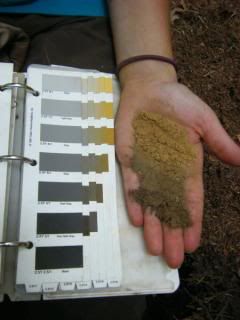 Soil colors