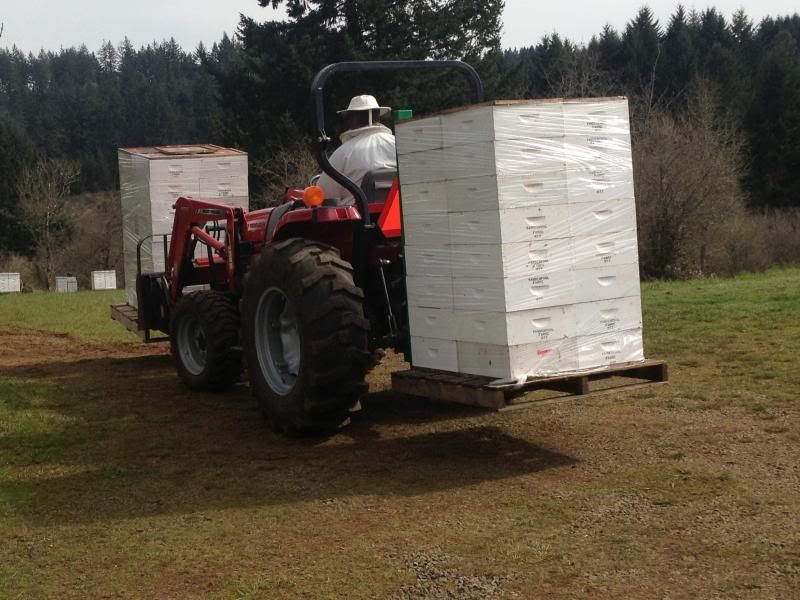Tractorinsupers_zpsbef787d3.jpg