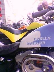Harley 2