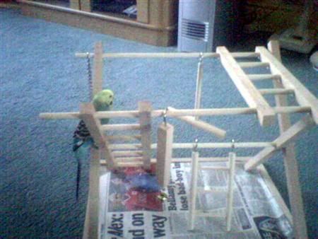 ImTheKingOfThisCastleCustom.jpg