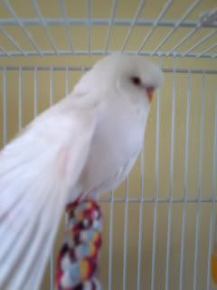 PICT0614.jpg