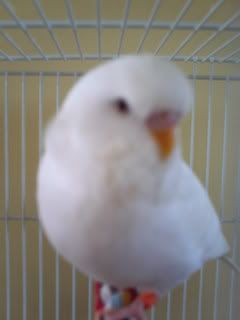 PICT0621.jpg