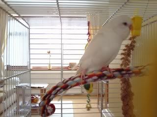 PICT0627.jpg