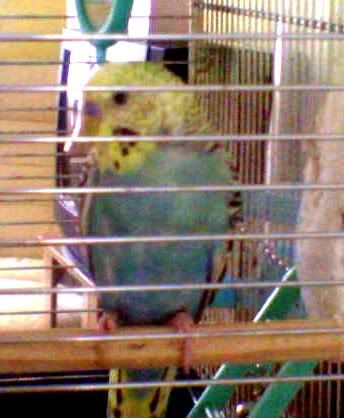 SP_A0063.jpg