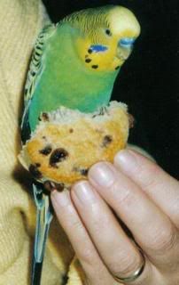 pippi.jpg