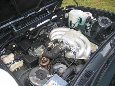 533.jpg
