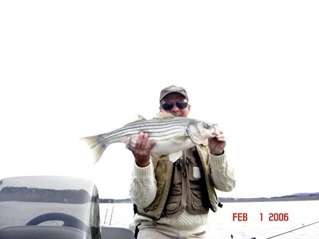 2-1-06fishvga014.jpg