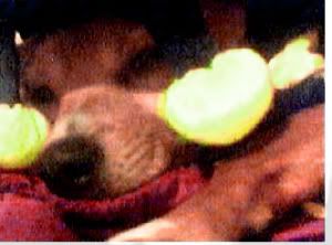 Photobucket - Video and Image Hosting