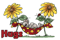 hugs-teddy bear in hammock