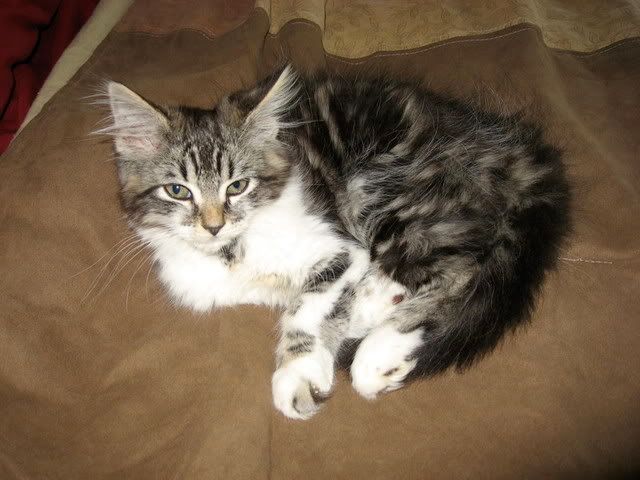 the adults are smoking and joking...