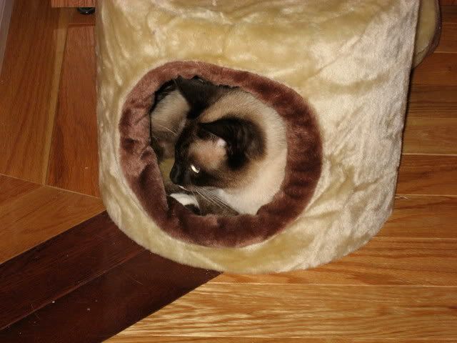 the adults are smoking and joking...