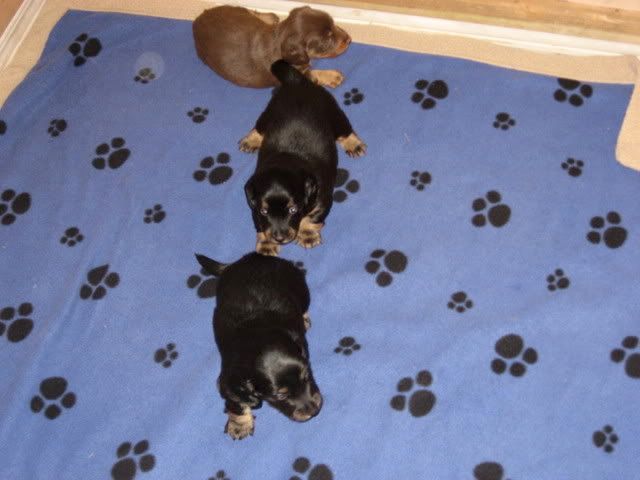 the adults are smoking and joking...