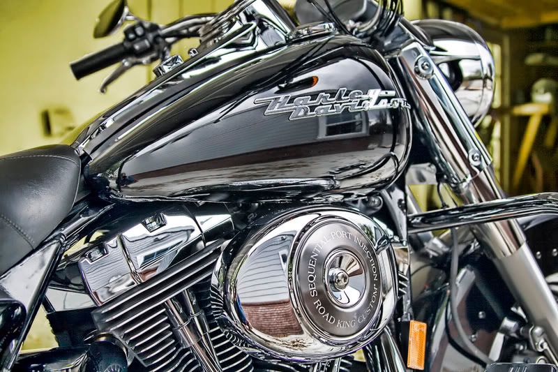 IMAGE: http://img.photobucket.com/albums/v203/squashed/harleyyellow2.jpg