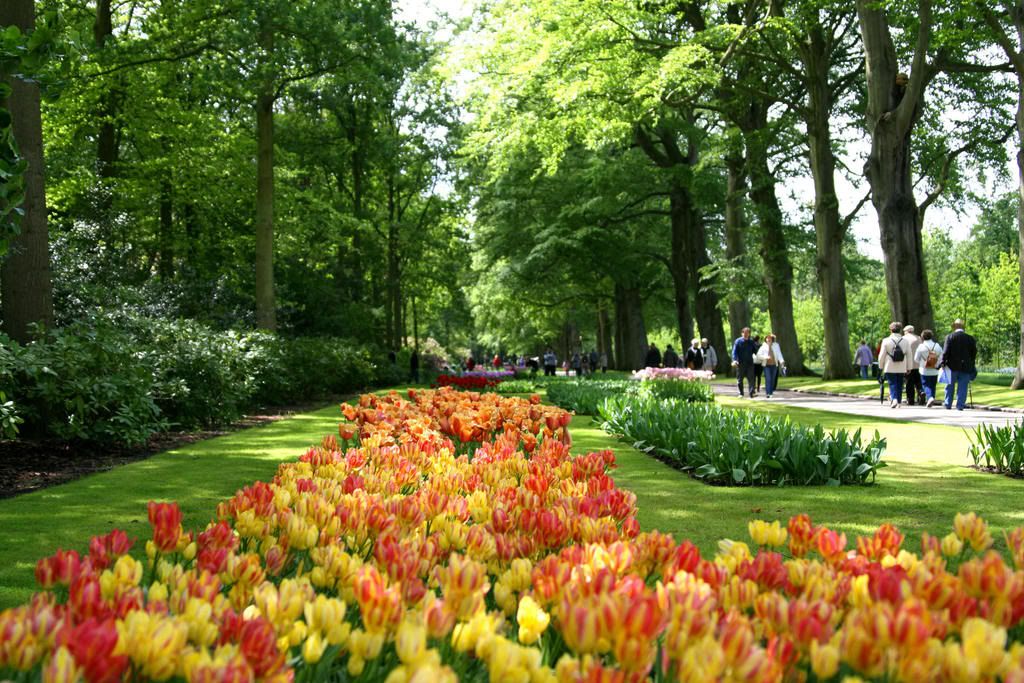 IMAGE: http://img.photobucket.com/albums/v203/squashed/misc/IMG_1132.jpg