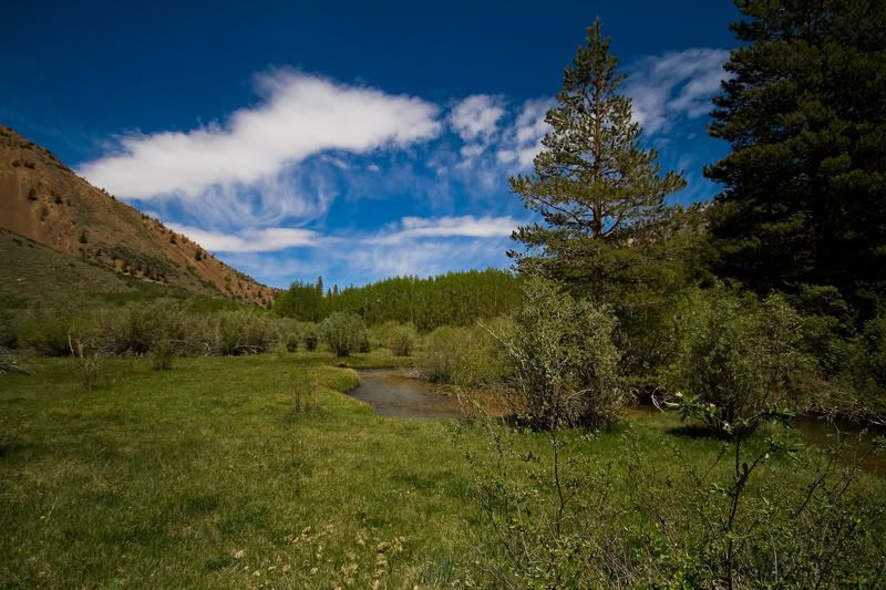 IMAGE: http://img.photobucket.com/albums/v203/squashed/sierras/IMG_1467.jpg