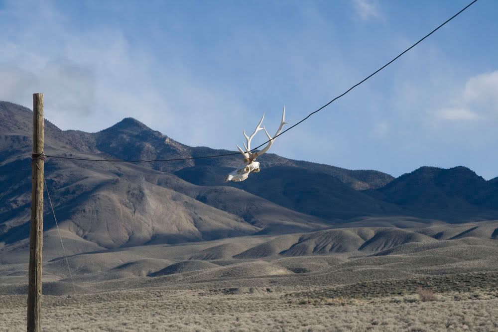 IMAGE: http://img.photobucket.com/albums/v203/squashed/sierras/IMG_3860.jpg