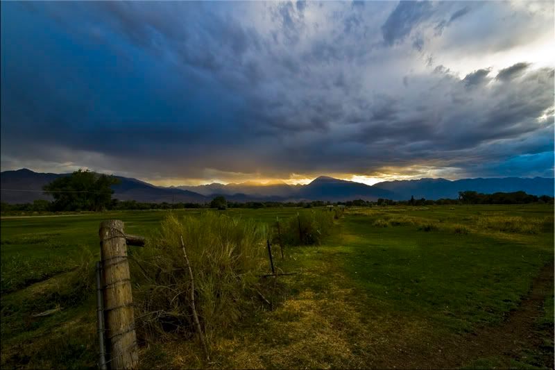 IMAGE: http://img.photobucket.com/albums/v203/squashed/sierras/photobucket10-27.jpg