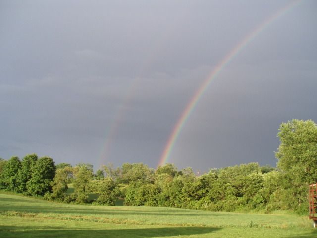 rainbow6-25a.jpg