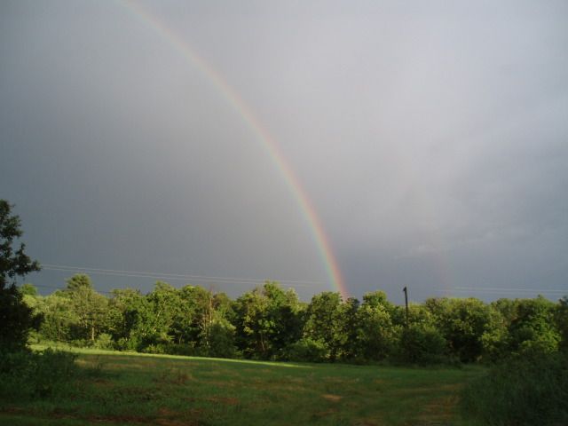 rainbow6-25b.jpg