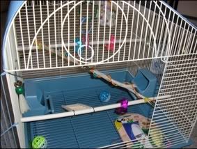 cage06.jpg