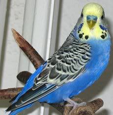 d_nik_c_0071.jpg
