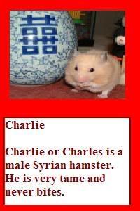 Posted Image