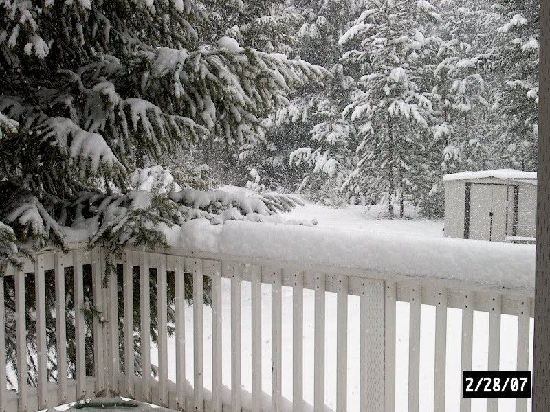 Spring?? Some People Are Delusional, Lol - Homesteading Questions