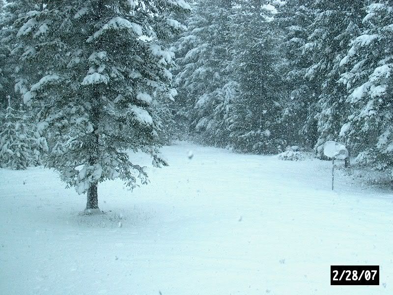 Spring?? Some People Are Delusional, Lol - Homesteading Questions