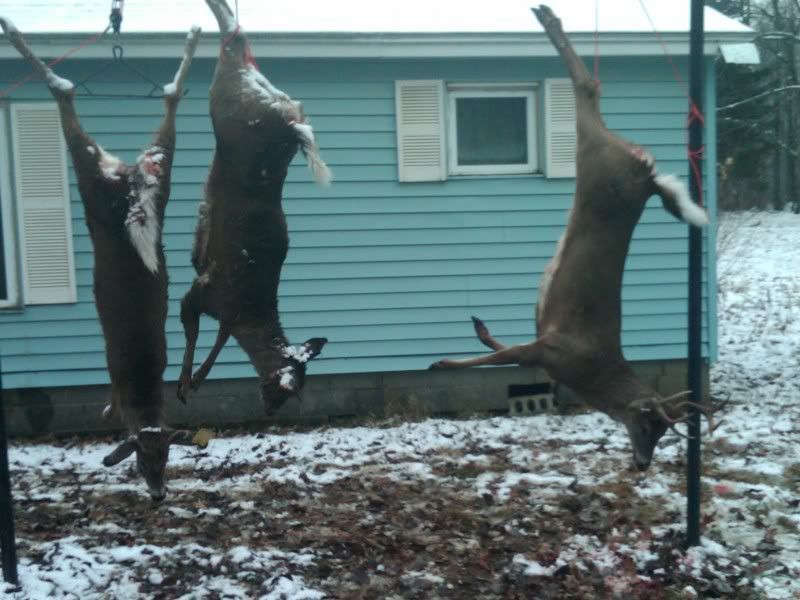 Meat Poles Page 2 The Outdoor Community