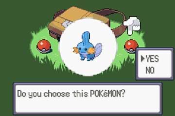 what is mudkip