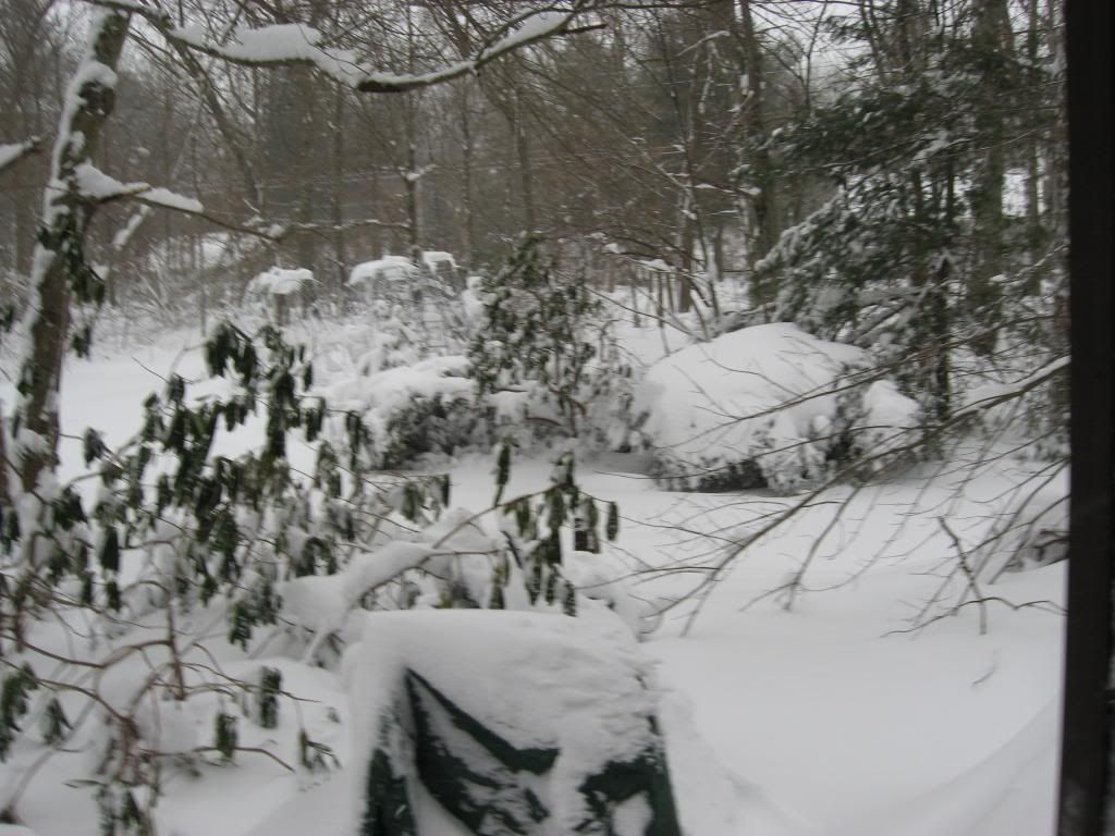blizzard001_zpsefbc87d9.jpg