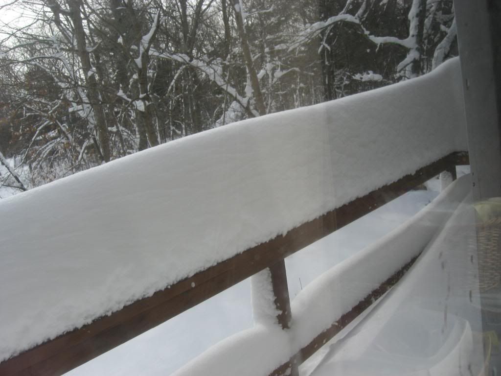 blizzard008_zpsf1aa1e5f.jpg