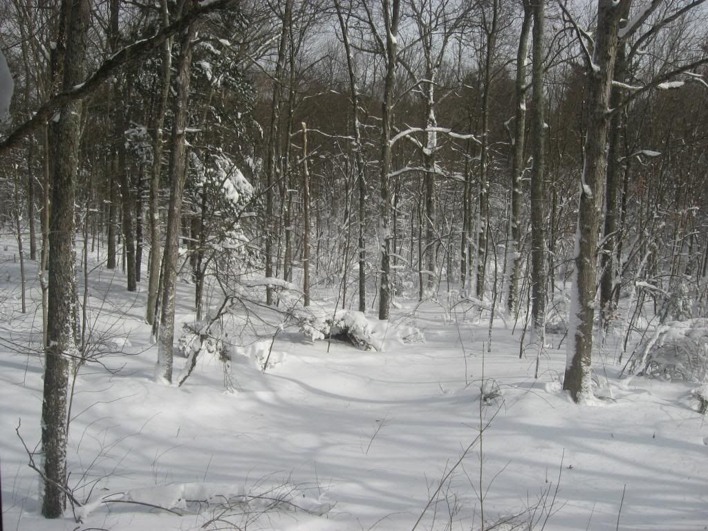 blizzard010_zps81115861.jpg