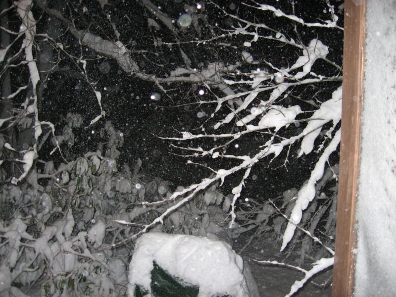 blizzard1_zpsdf581417.jpg