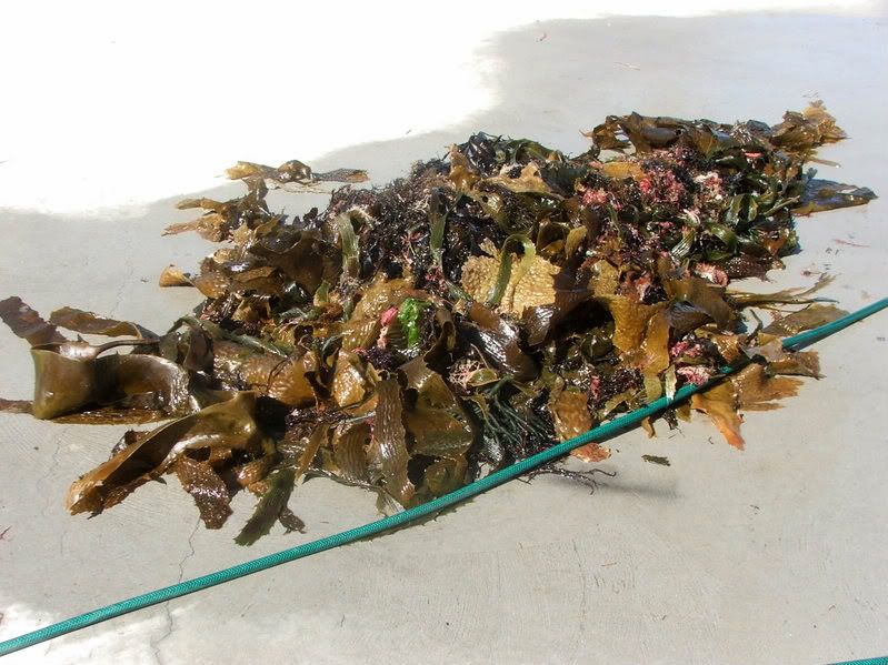 DSCF2476.jpg