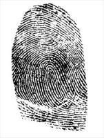 fingerprint