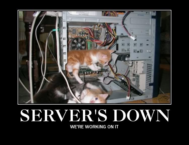 servers-down-cats_zps00sahzpp.jpg