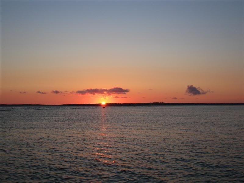 IMG_2347Medium.jpg